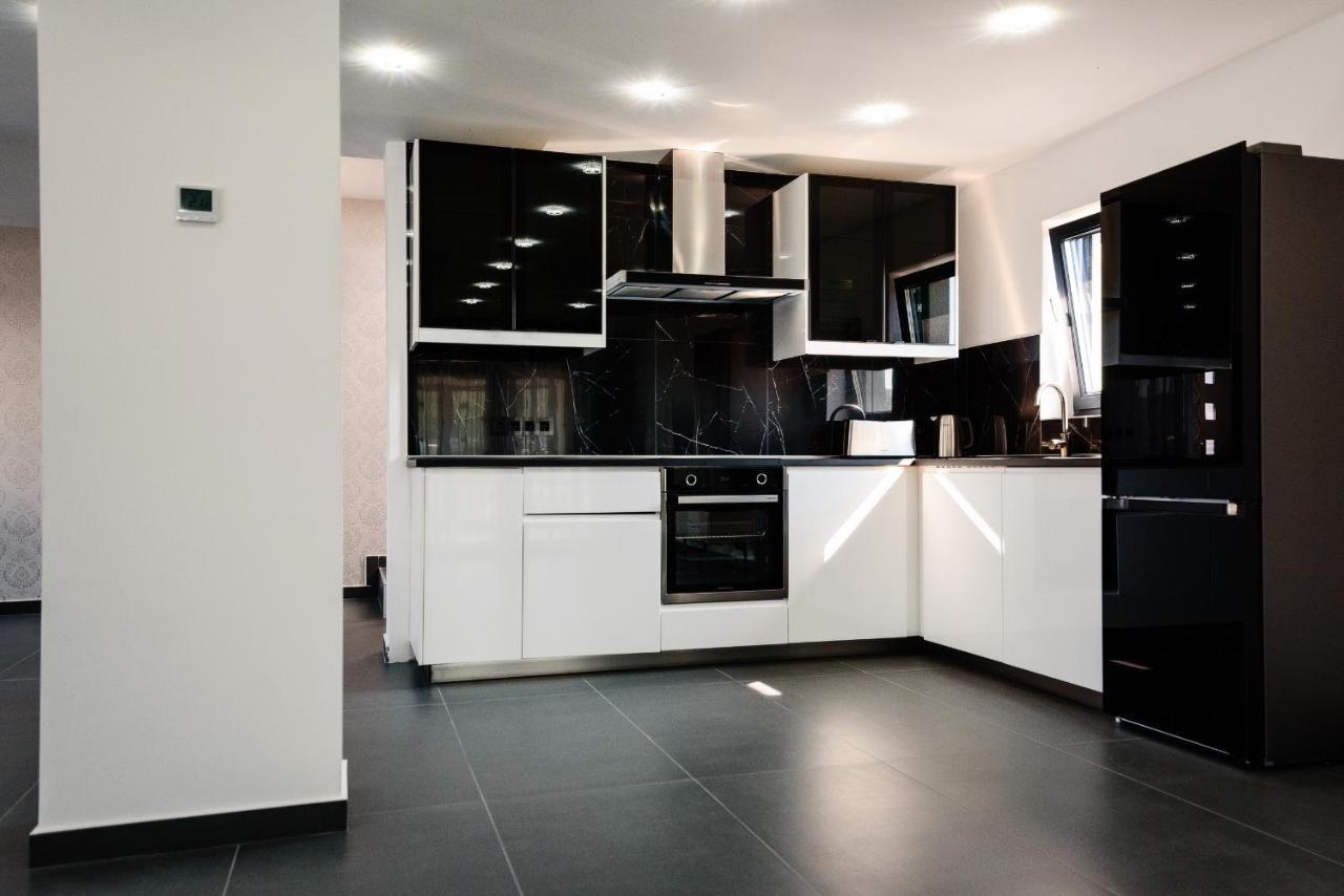 Concept Villa Livezeni  Exteriör bild